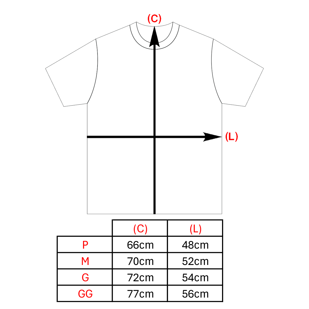 Camiseta 244 II